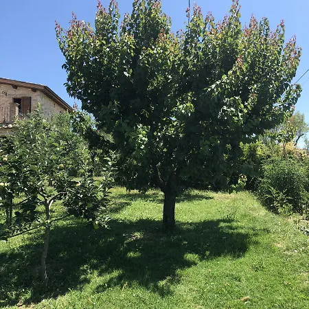 Lägenhet Casale Nonna Teresa *