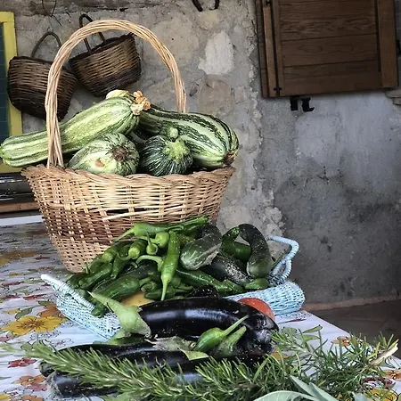Lägenhet Casale Nonna Teresa Calvi dellʼ Umbria